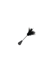martinet des ténèbres plume noire