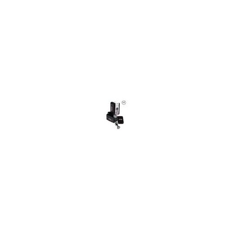 Plug Anal M Trans Secret play
