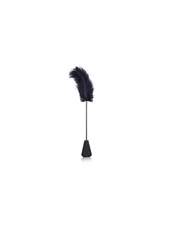 Plume tapette 2 en 1 56cm fetish