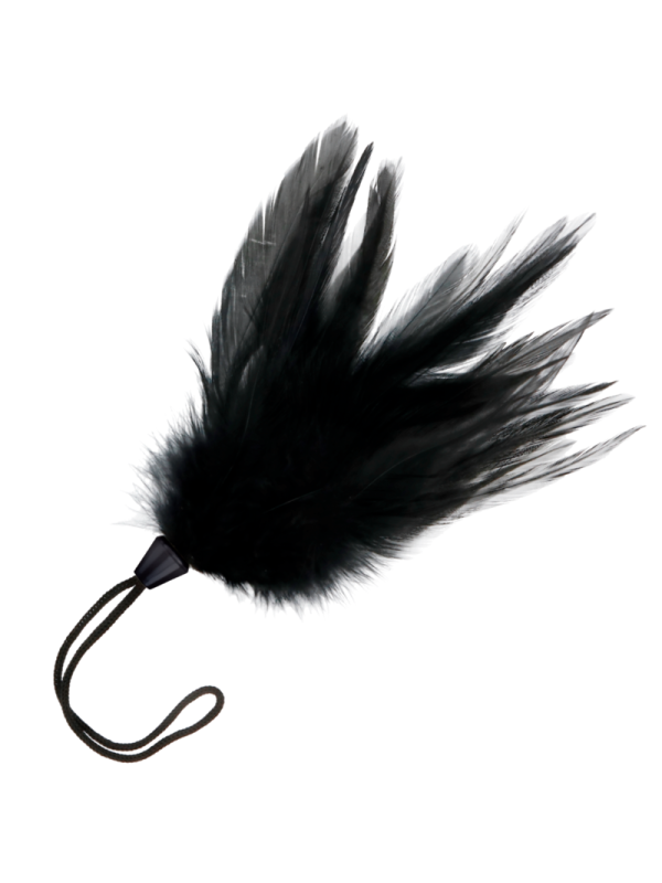 plume stimulante noir darkness 17cm