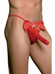 cache sexe éléphant (TU)