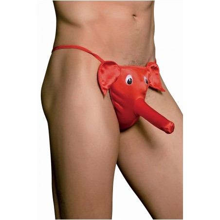 cache sexe éléphant (TU)