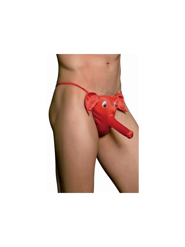 cache sexe éléphant (TU)