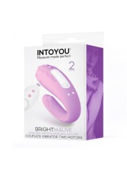 Brightmauve u-vibro usb telecommande