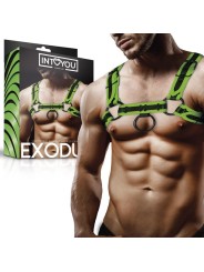 Harnais de bondage torse brillant dans le noir