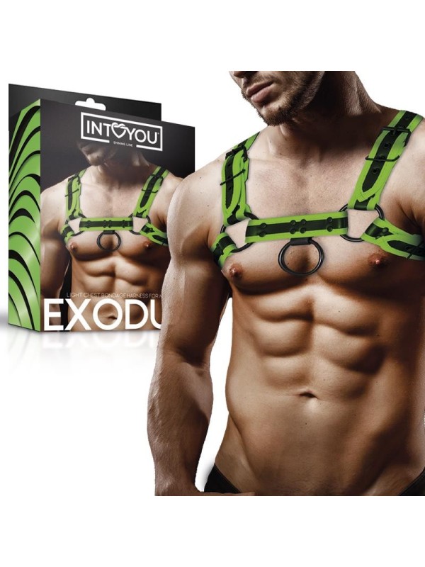 Harnais de bondage torse brillant dans le noir