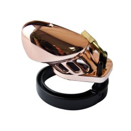 Cage de chasteté Couleur Bronze