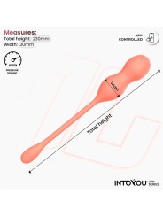 Appareil d'entraînement du plancher pelvien Kyra avec capteur de pression et application