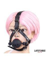 Harnais de tête avec bâillon et crochet-nez