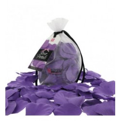 Pétales de rose lila loverspremium