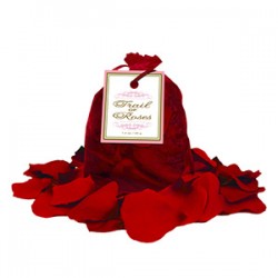 Pétales de rose rouge Trail of roses