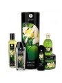 coffret Massage erotique "jardin d'edo" Shunga