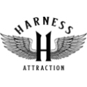 HARNESS ATTRACTION